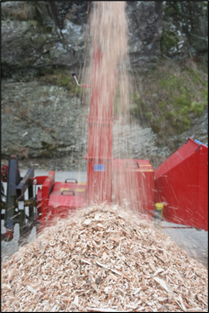 Politisk debatt i skogen